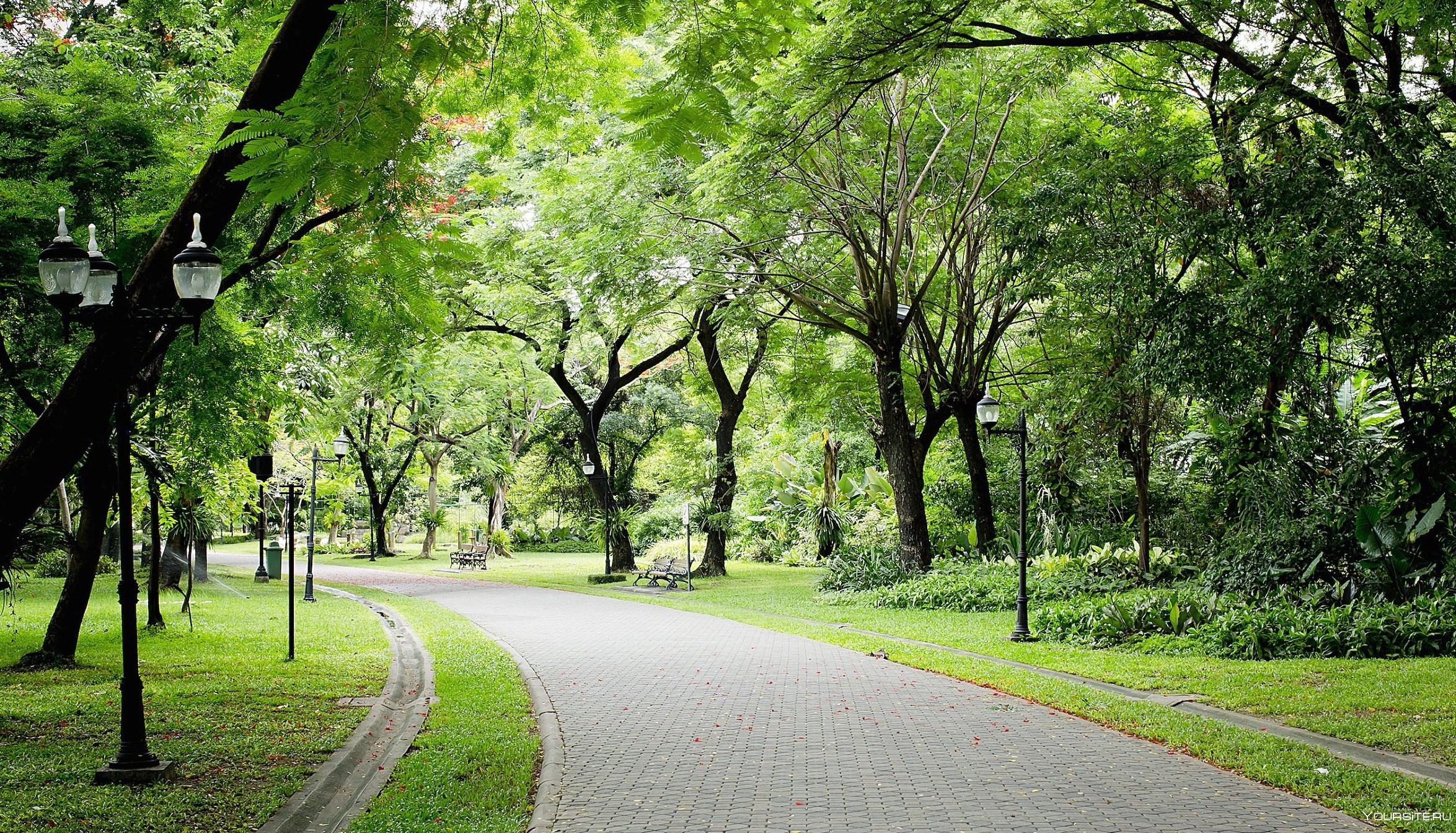 Исправление реестровой ошибки и установление границ земельных участков