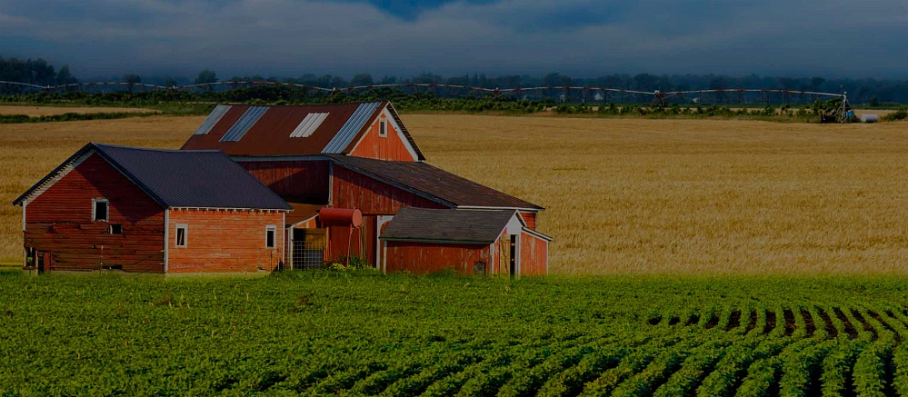 Экспертиза для установления сервитута #CITY_PREPOSITIONAL#